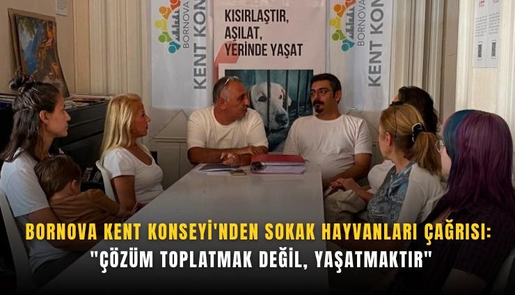Bornova Kent Konseyi'nden sokak hayvanları çağrısı: 'Çözüm toplatmak değil, yaşatmaktır'