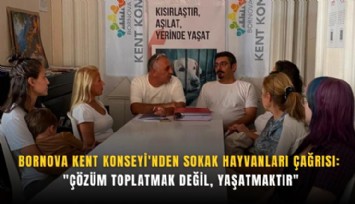 Bornova Kent Konseyi'nden sokak hayvanları çağrısı: 'Çözüm toplatmak değil, yaşatmaktır'