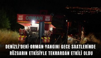 Denizli'deki orman yangını gece saatlerinde rüzgarın etkisiyle tekrardan etkili oldu