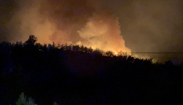 Fethiye'de orman yangını başladı