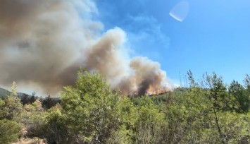 Fethiye'de yangın yeniden alevlendi
