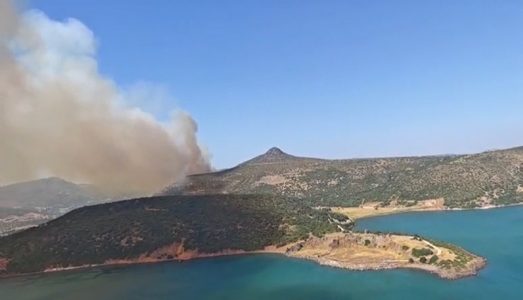 Foça'da orman yangını: Ekiplerin müdahalesi sürüyor