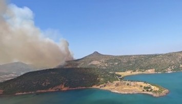 Foça'da orman yangını: Ekiplerin müdahalesi sürüyor