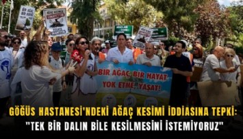 Göğüs Hastanesi'ndeki ağaç kesimi iddiasına tepki: 'Tek bir dalın bile kesilmesini istemiyoruz'