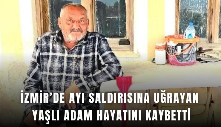 İzmir’de ayı saldırısına uğrayan yaşlı adam hayatını kaybetti