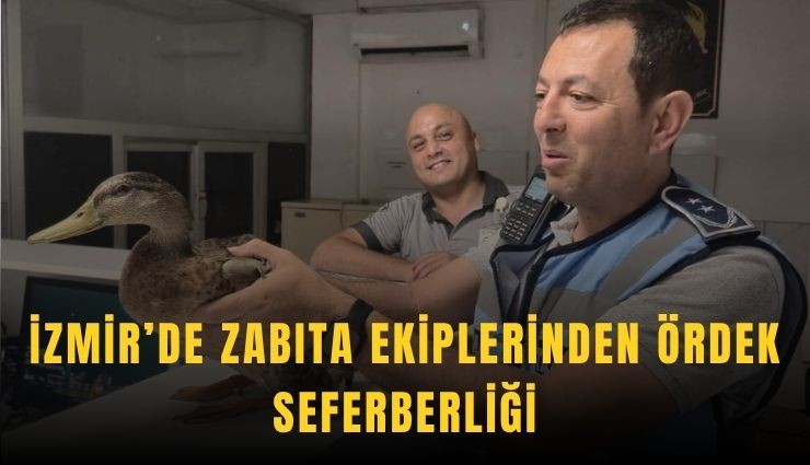 İzmir’de zabıta ekiplerinden ördek seferberliği