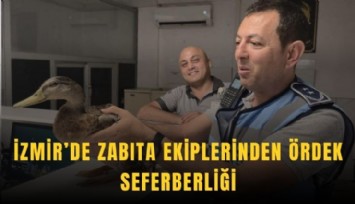 İzmir’de zabıta ekiplerinden ördek seferberliği