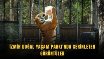 İzmir Doğal Yaşam Parkı’nda serinleten görüntüler