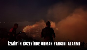 İzmir’in kuzeyinde orman yangını alarmı
