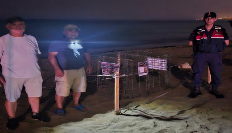 Kuşadası’nda caretta caretta yuvası koruma altına alındı