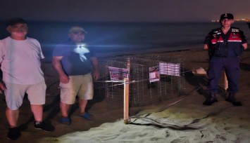 Kuşadası’nda caretta caretta yuvası koruma altına alındı