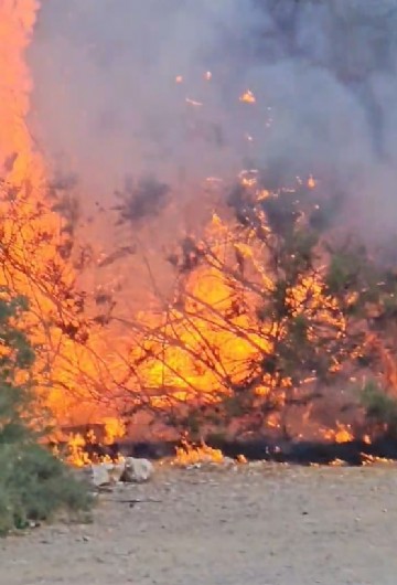 Kuşadası’nda çıkan yangın büyümeden söndürüldü
