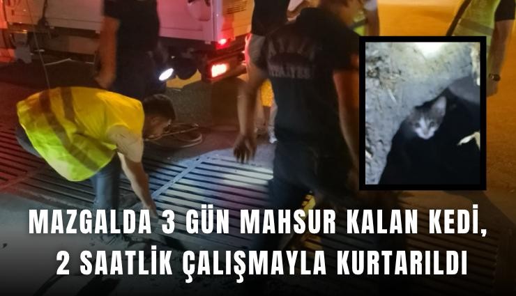 Mazgalda 3 gün mahsur kalan kedi, 2 saatlik çalışmayla kurtarıldı