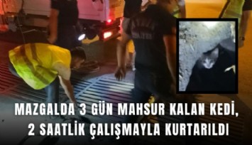 Mazgalda 3 gün mahsur kalan kedi, 2 saatlik çalışmayla kurtarıldı