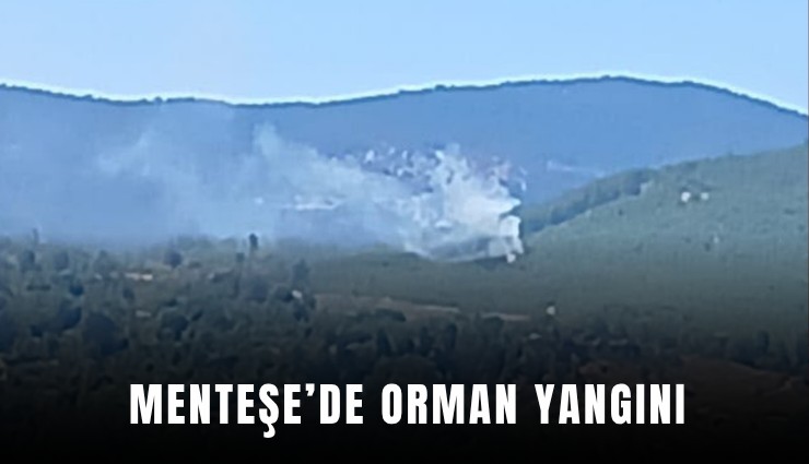 Menteşe’de orman yangını