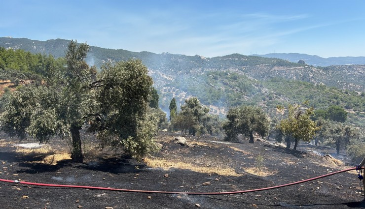 Milas'ta korkutan yangın büyümeden söndürüldü
