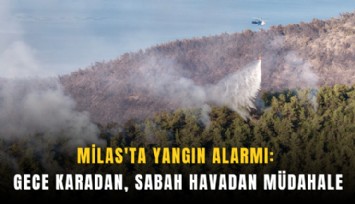 Milas'ta yangın alarmı: Gece karadan, sabah havadan müdahale