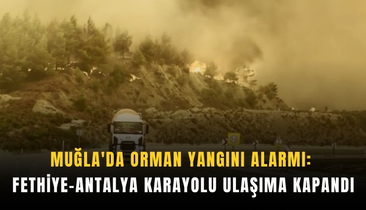 Muğla'da orman yangını alarmı: Fethiye-Antalya karayolu ulaşıma kapandı