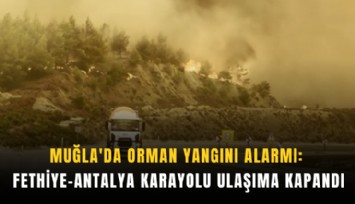 Muğla'da orman yangını alarmı: Fethiye-Antalya karayolu ulaşıma kapandı