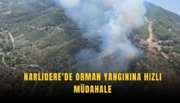 Narlıdere'de orman yangınına hızlı müdahale