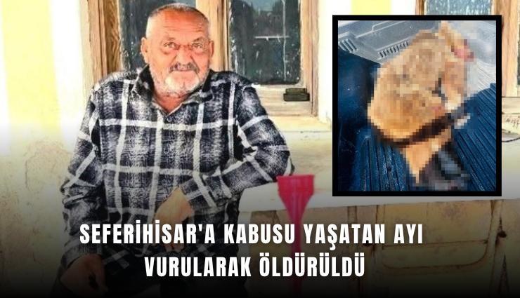 Seferihisar'a kabusu yaşatan ayı vurularak öldürüldü
