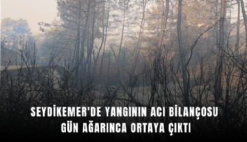 Seydikemer'de yangının acı bilançosu gün ağarınca ortaya çıktı