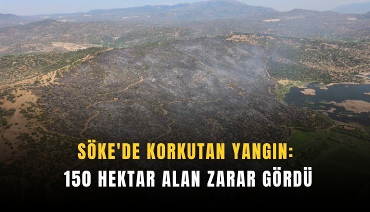 Söke'deki yangın kontrol altında