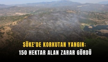 Söke'deki yangın kontrol altında