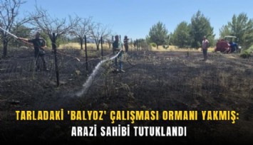 Tarladaki 'balyoz' çalışması ormanı yakmış: Arazi sahibi tutuklandı