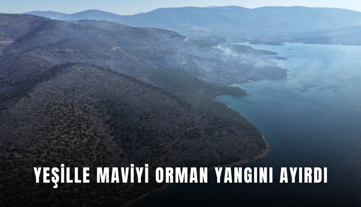 Yeşille maviyi orman yangını ayırdı