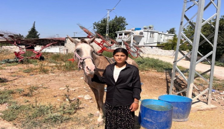 16 yaşında 30 keçilik sürü kurup hayvan ticareti yapıyor