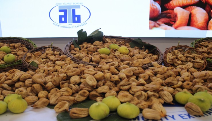 Aydın'da sezonun ilk kuru inciri 850 liradan satıldı