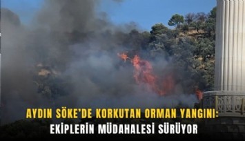 Aydın Söke’de korkutan orman yangını