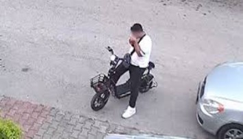 Bolu'da vahşet: Yavru kediyi önce öptü, sonra boğdu