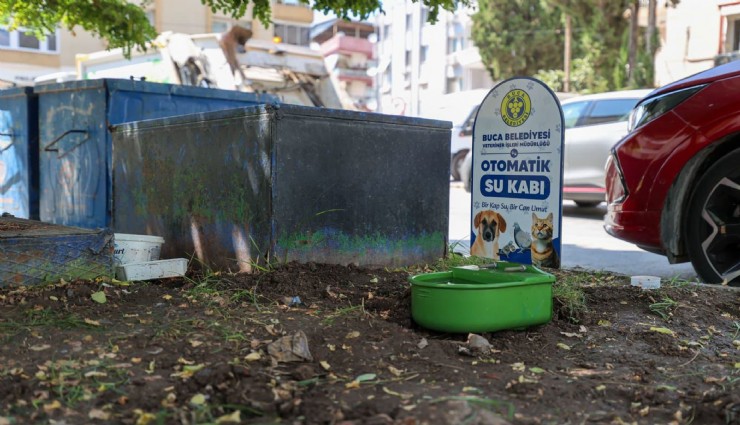 Buca'da sokak hayvanlarına can suyu