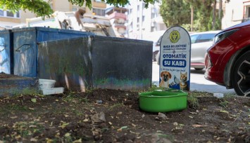 Buca'da sokak hayvanlarına can suyu