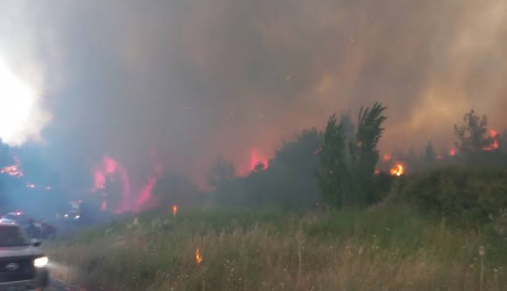 Çanakkale'de korkutan orman yangını