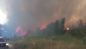 Çanakkale'de korkutan orman yangını