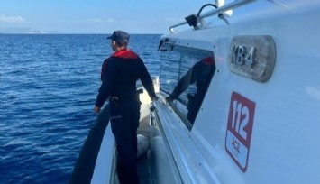 Datça’da bir şahsı deniz kaplumbağasının ısırdığı iddiası
