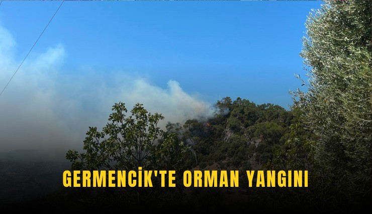Germencik'te orman yangını