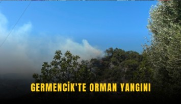 Germencik'te orman yangını