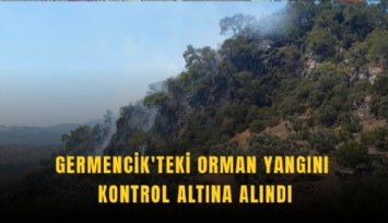 Germencik'teki orman yangını kontrol altına alındı