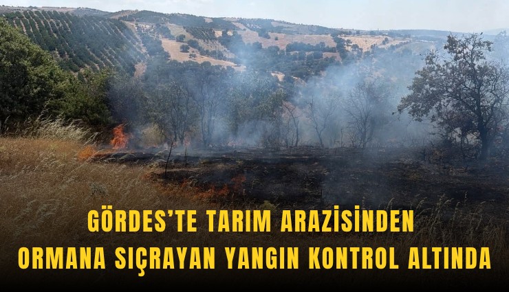 Gördes’te tarım arazisinden ormana sıçrayan yangın kontrol altında