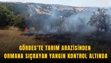 Gördes’te tarım arazisinden ormana sıçrayan yangın kontrol altında