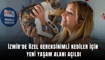 İzmir’de özel gereksinimli kediler için yeni yaşam alanı açıldı