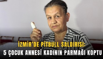 İzmir’de pitbull saldırısı: 5 çocuk annesi kadının parmağı koptu