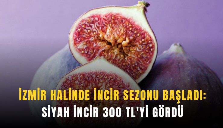 İzmir halinde incir sezonu başladı: Siyah incir 300 TL'yi gördü