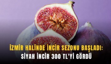İzmir halinde incir sezonu başladı: Siyah incir 300 TL'yi gördü