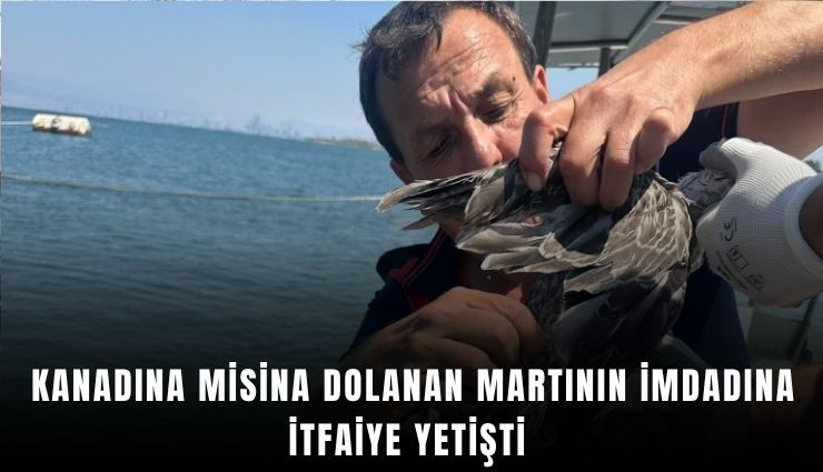 Kanadına misina dolanan martının imdadına itfaiye yetişti