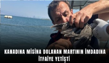 Kanadına misina dolanan martının imdadına itfaiye yetişti